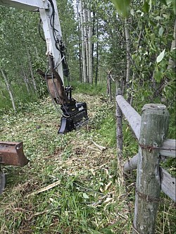 Fenceline clearing